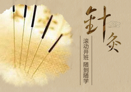 上海中(zhong)醫(yī)針灸培訓班